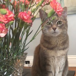 Meet your Posher, Jackie